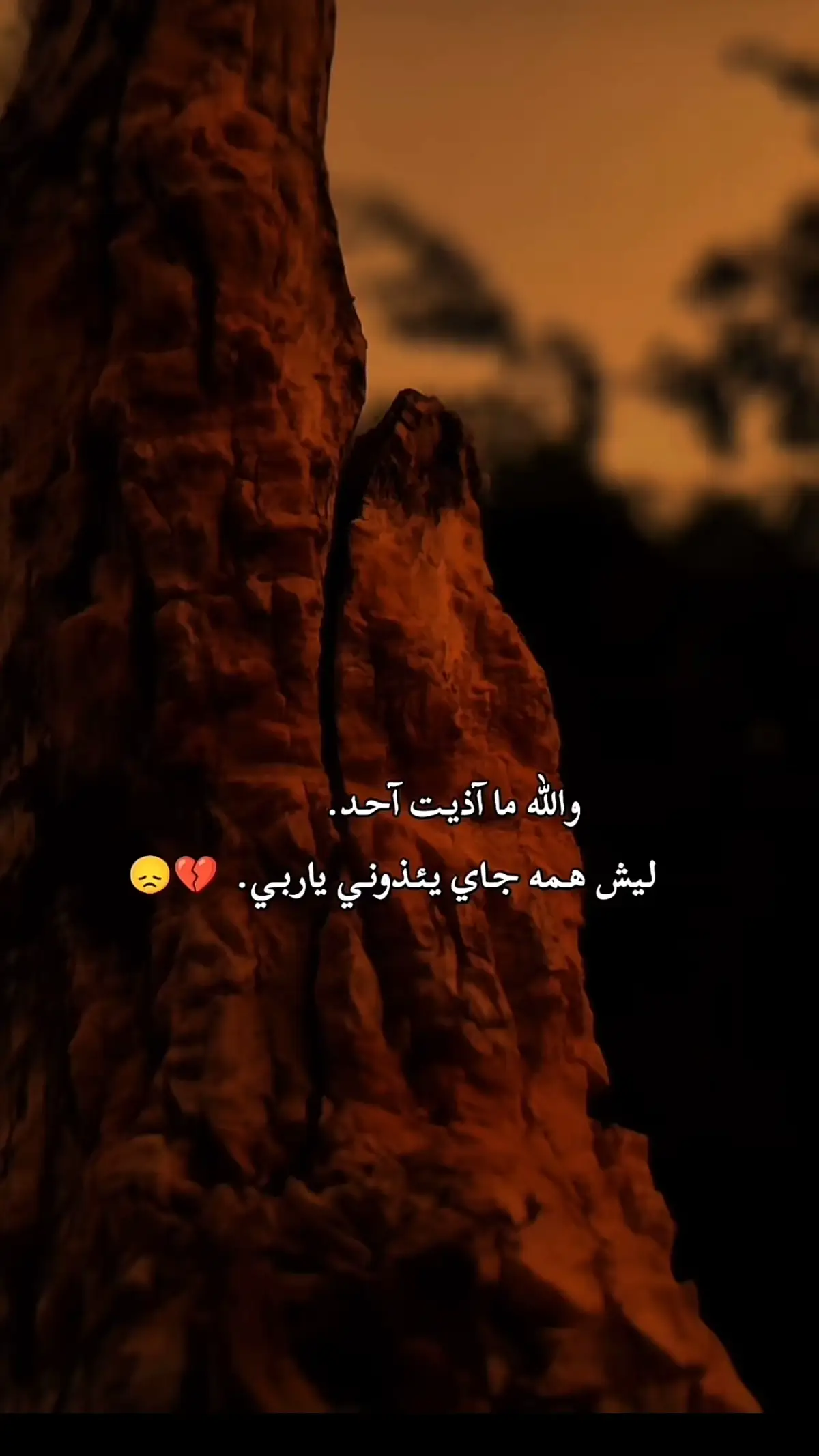 #صعدو_الفيديو #مالي_خلق_احط_هاشتاقات #💔🥀 