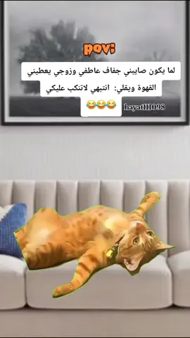 متابعة ولايك أحبكم🤭#Meme #MemeCut #CapCut ##fypシ゚viral🖤tiktok #😂😂😂 