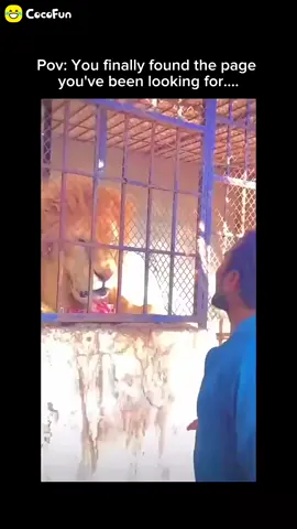 یه سر به پیجم بزن و  اگر ویدیو برات جال بود ممنون میشم لایک کنید👍👍👍👍👍👍👍👍👍👍👍👍❤️🥰❤️🥰❤️🥰❤️🥰❤️🥰❤️🥰❤️🥰❤️🥰❤️🥰❤️❤️🥰❤️❤️🥰