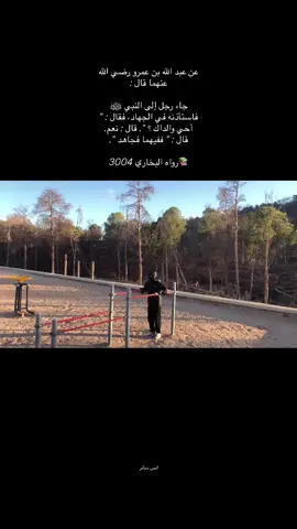 ‏عن عبد الله بن عمرو رضي الله عنهما قال :  جاء رجل إلى النبي ﷺ فاستأذنه في الجهاد، فقال : 