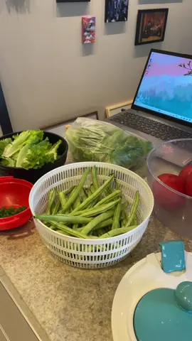 Tudo limpo e no lugar= paz #secadoradesalada #apartamentopequeno #tiktokshopblackfridaybr #tiktokshop1111br #tiktokshop 