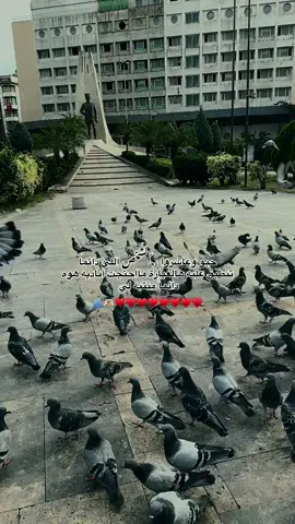 حبو وعاشروا الشخص اللي دائماً تنطبق عليه هالعبارة مااحتجت أناديه هوه دائماً منتبه لي