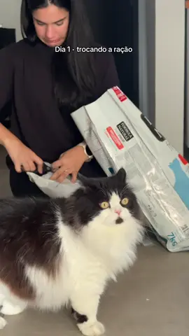 Dia 1 trocando a ração do Chico 🤏🏽Perdão pelo ângulo 🙂‍↕️🙂‍↕️🙂‍↕️ #formulanaturalfreshmeat #formulanatural #gatinho #gato 