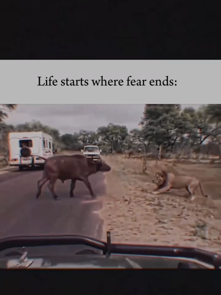 it's time to change now  No one will remain king👑 forever #foryourpage #all #fyp #foryou #fyppppppppppppppppppppppp 