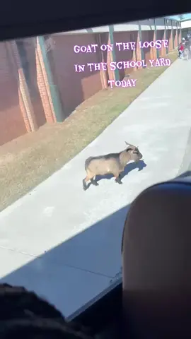 today in the bus pickup line 🤣