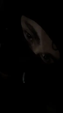 #برهوم #syria🇸🇾 #wien🇦🇹 