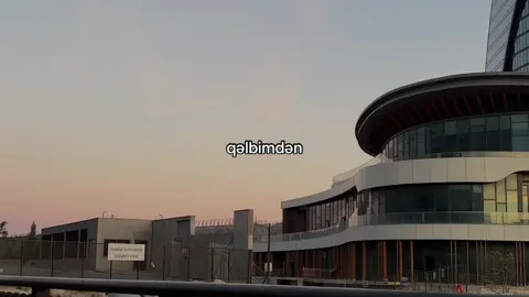 Sənə görə…🫠 #fyp #kesfet #senegore #roya #kesfetteyizzz 