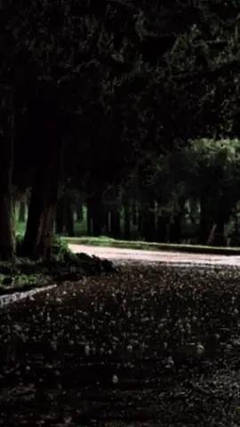 واللي درتة راضي وبيدي خاطري جبرتة 💔🔥. #البيضاء_الجبل_الاخضر❤🔥 #اغاني_ليبية #تصميم_فيديوهات🎶🎤🎬 #جامعة_عمر_المختار_البيضاء_القديمة  #مفتاح_امعيلف 