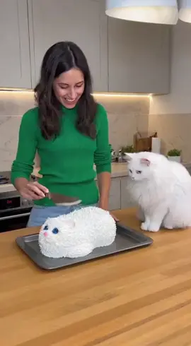 Cat Shocked 😮 Very funny moments 😂😂  #Catlover #tiktok #usa🇺🇸 #foryoupage❤️❤️ #fypシ゚viral 