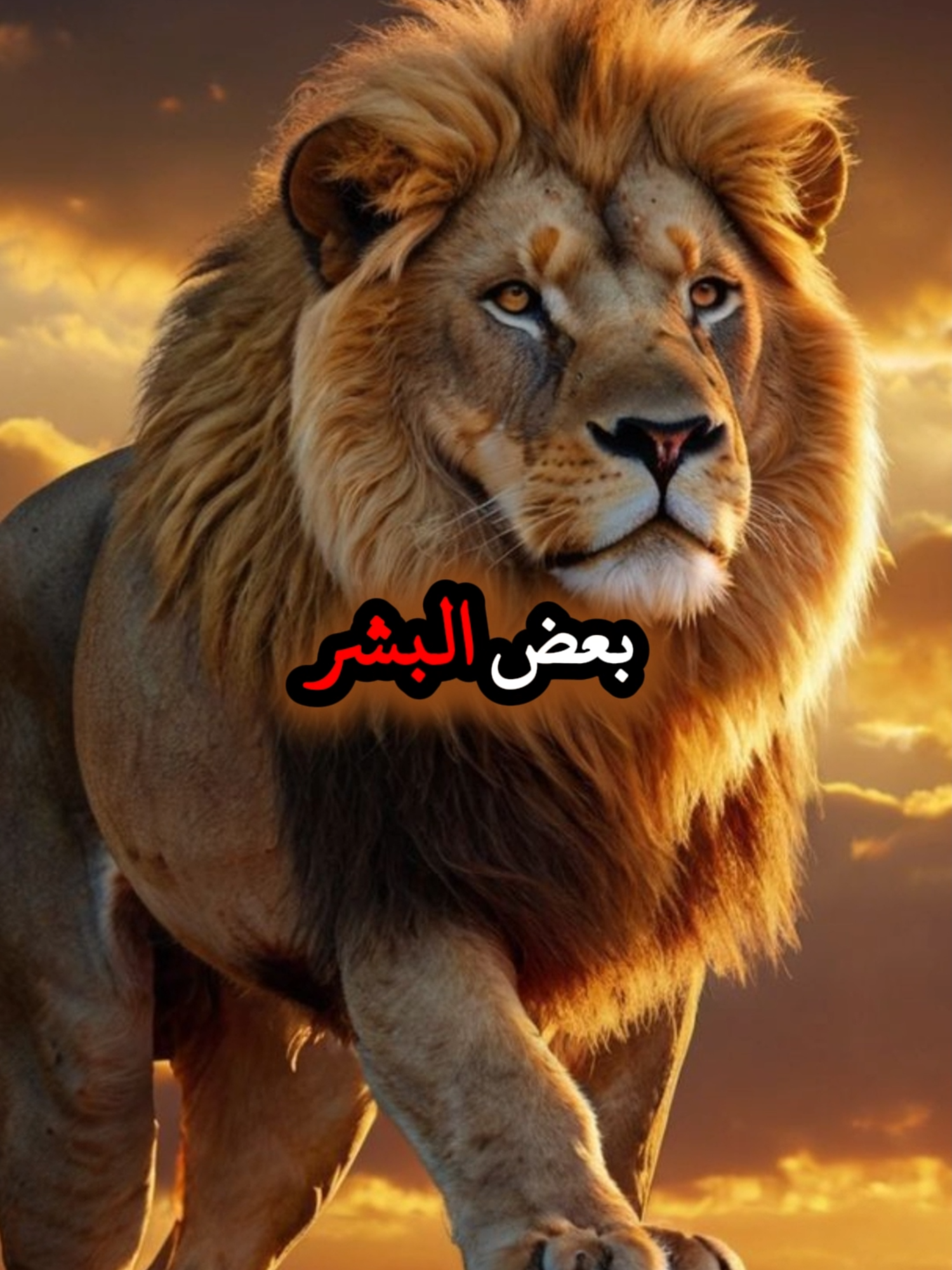 بعض البشر يحبوننا متى شاءوا  #حكمة #خواطر #اكسبلور #نجاح #اقتباسات #علم_النفس #تطوير_الذات #كلام_من_ذهب #اطمئن #اقتباسات_عبارات_خواطر #تحفيزات_إيجابية #اللهم_صلي_على_نبينا_محمد #fyp #explorer #viral_video #psychology #motivation