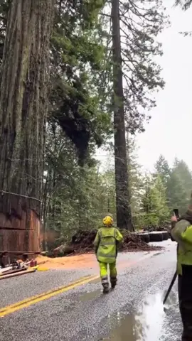 #صلوا_على_رسول_الله_لأجل_شفاعته #ا_على_رسول_الله🤲🕋لو #ا_على_رسول_الله_لأجل_شفاعته #رسول_الله_لأجل_شفاعته 