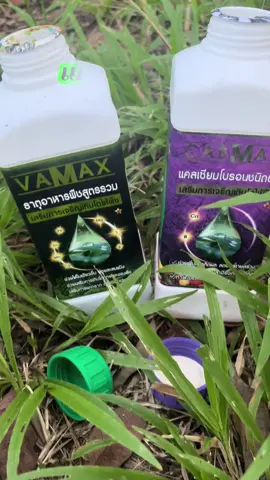 แคลเซียม โบรอน เหมาะกับพืชทุกชนิด เร่งการเจริญเติบโต ออกดอก ติดผล ผลดก คู่นี้เห็นผลจริงต้องลอง ขนาดเอาไปพ่นต้นยางยังสวย