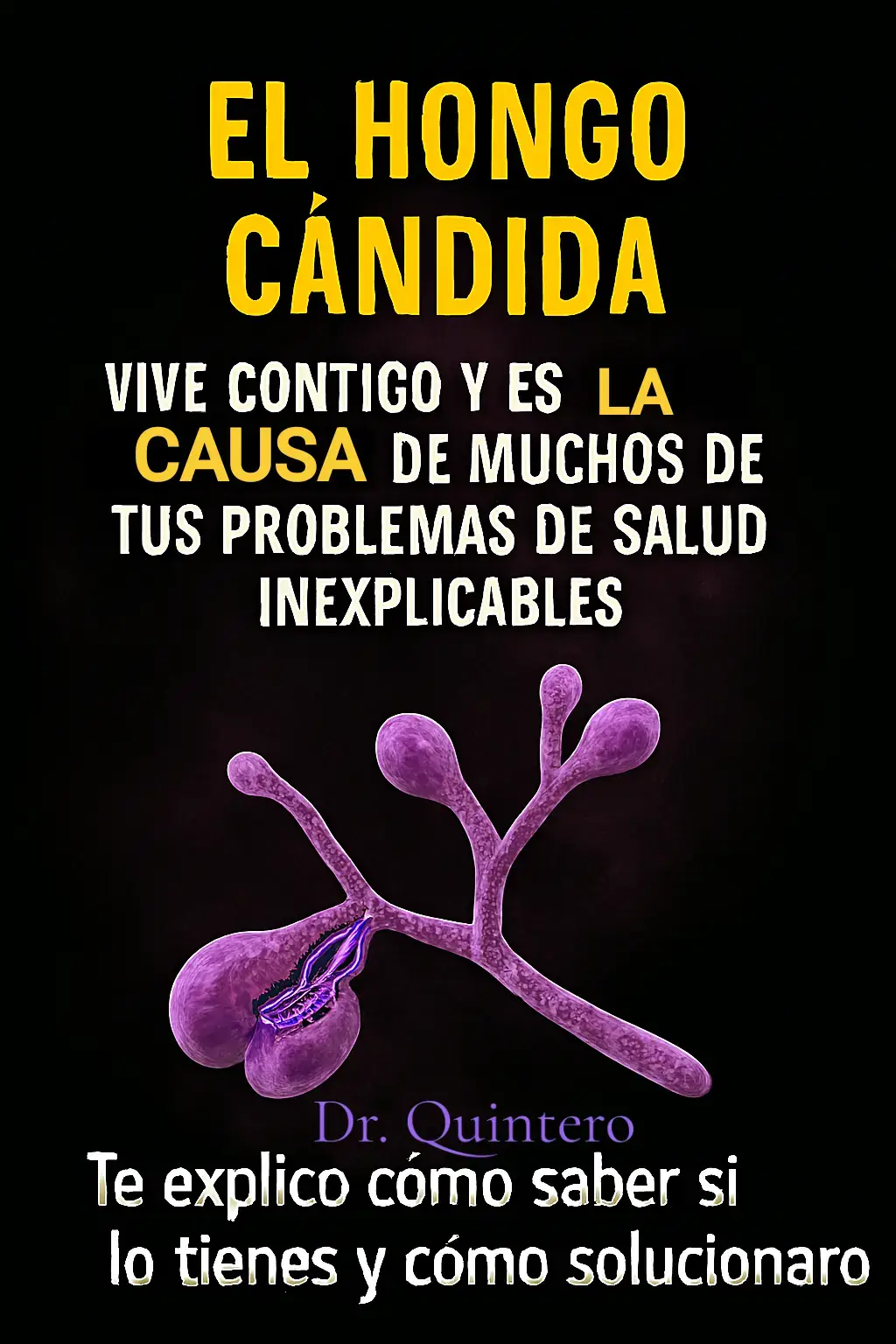 ​El hongo Candida albicans vive en tu cuerpo de forma natural, pero cuando se descontrola (lo que se conoce como Crecimiento Excesivo o Candidiasis), libera toxinas que pueden sabotear tu salud de pies a cabeza. ​Si has probado dietas y tratamientos sin éxito, el problema podría estar aquí. ​💥 La Cadena de Daño: De la Obesidad a la Inmunodepresión ​El sobrecrecimiento de Cándida no es solo una infección localizada (como la vaginal o el muguet), sino un problema sistémico con graves ramificaciones: ​Trastornos Metabólicos y Obesidad: ​Metabolismo Lento: El hongo puede liberar hasta 78 tipos de toxinas que, según algunas teorías, pueden 