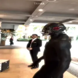 black flash ishowspeed edit | song: escopeta funk | #blackflash #blackflashedit #ishowspeed #flash #flashedit  black flash edit ishowspeed cosplay halloween