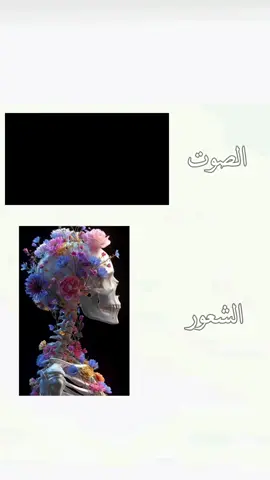 #فعلاً صوت راحه نفسيه 🥹❤ #محمد_باقر_الخاقاني #ياصاحب_الزمان_ادركنا 