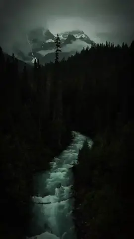 #حمدلله_دائما_وابدا🙏🏻 #تصميم_فيديوهات🎶🎤🎬 #مشاهير_تيك_توك_مشاهير_العرب #cat #مشاهير 