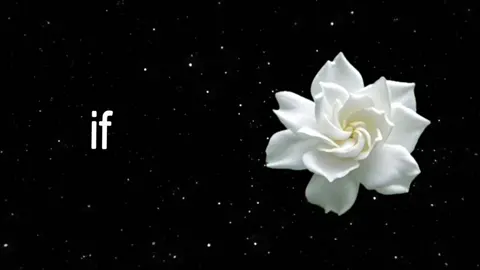 prom queen #lyric #fyp #lyrics #tipografia 