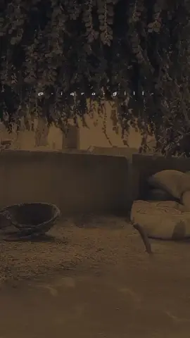 دساں کی غریبی دے کارنامے #iqra_gill_❤ #punjabipoetry #sportsontiktok #lines #foryou #foryoupage #sadstatus💔🥀 #goviral #fyp #unfrezzmyaccount #dontunderreviewmyvideo #dontunderreview 