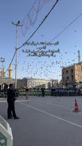 الحُمدلله الذي جعلني من بنات الكفيل .💚 #تخرج #بنات_الكفيل #كربلاء #العتبة_العباسية_المقدسة #fyp 