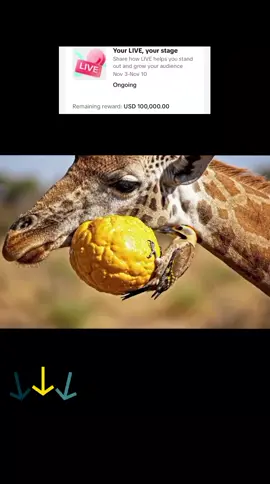 #LIVEIncentiveProgram #LIVERecognition #PaidPartnership 