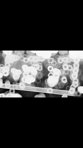 Unance como quieran #LibreConcepciondelNorte #JoseLopezAlcalde #rixipresidenta #libre #mel 