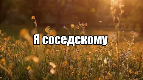 Стрыкало- я пытаюсь быть лучше #стрыкало #валентинстрыкало #глобальныерекомендации #музыка #fyp 