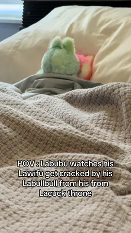 #labubu #pov #trending #fyp #fypシ 