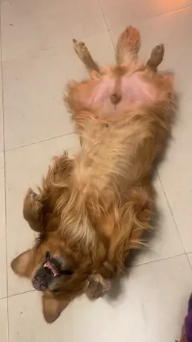 El amor de mi vidaaaa