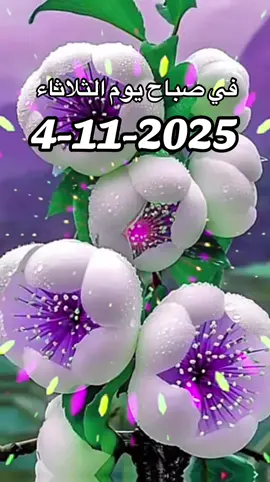 #دعاء في صباح يوم الثلاثاء#4 11#2025 #صباح_الخير #🤲🤲🕋🕋🤲🤲 