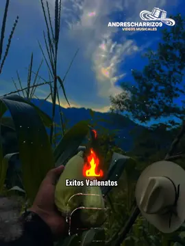 Estoy Limpiando Mi Camino - Beto Zabaleta 🇨🇴🥃🫂  #sentimiento #vallenatosdeoro #videosmusicales #vallenatosdelalma #vallenatosdeoro 