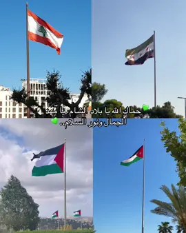 بلادنا🫂💚 #لبنان #سوريا #فلسطين #الاردن #fyp 