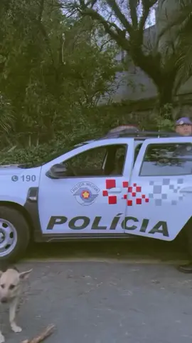 Fala pra ela subir com uma pedra 🤬