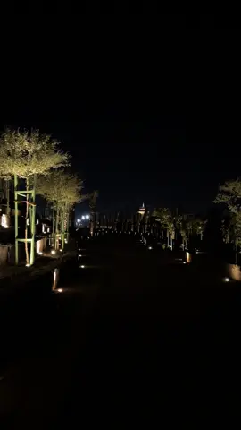 المكان يجنن🤩 #explore #المدينه_المنوره #مسجد_قباء #ممشى #الشعب_الصيني_ماله_حل 