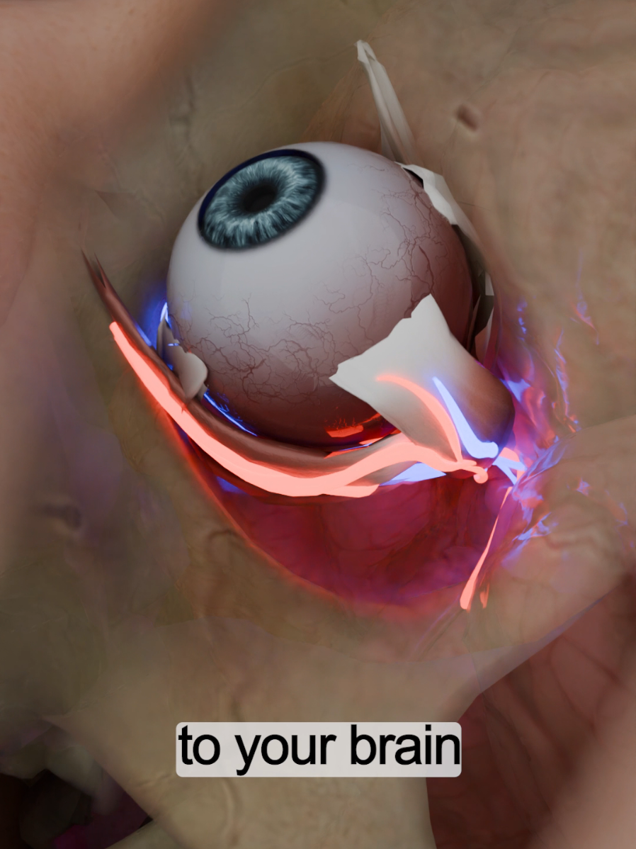 Insomnia Cure? 😴 The 1-Minute Eye Roll Hack to INSTANTLY Shut Down Your Brain! ​