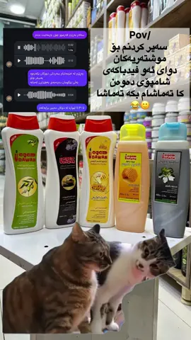 ⁨	⁨	⁨	پرسیاری زۆربەی خەڵک ئایە شامپۆی دەوەن جیاوازە لە شامپۆکانی تر؟ بەڵێ شامپۆی دەوەن جیاوازە لە شامپۆکانی تر چونکە پێکهاتەی سروشتیەو بێ ماددەی کیمیاییە 💯 هەر سێ جۆری زەیتی زەیتون و ڕەشکە و هەنگوین  بەردەستە پێکهاتەی  زەیت زەیتون بۆ قژی وشک ڕەشکە بۆ قژی نۆرماڵ هەنگوین بۆ قژی چەورە 🟢قژتان پڕو درێژ بکەنەوە و دووربن لە هەڵوەرین و خوران و حەساسیەت و تۆشکی سەر، بە شامپۆ نازدارەکەی دەوەن ئێستا دەتوانن داوای بکەن گەیاندنمان هەیە بۆ هەموو شارو شارۆچکەکانی کوردستان و عێراق 🚕 یاخود دەتوانن سەردان بکەن 👇🏻 ناونیشان/ هەولێر ٤٠ مەتری بازاڕی لەنگە بەرامبەر مزگەوتی لەنگە #fyb #erbil #foryourpage #kurdistan #hajila 