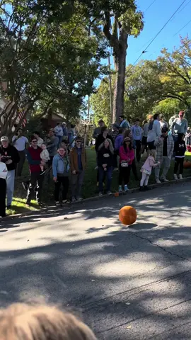 He’s ok though!! Hillcrest pumpkin roll 2025 Edit: This is a lot more popular than I ever expected it to be so I want to give some backstory on the Hillcrest Pumpkin Roll! It’s held annually the Sunday after Halloween. The goal is to raise money for hunger relief. People bring their pumpkins and make a donation to roll them down the hill. The pumpkins that go past a certain street get an award! It brings the community together for a good cause, and at some point everyone will take a hit from a rogue pumpkin (some harder than others).