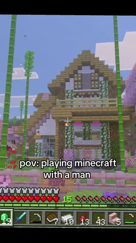 the miner 🥲 #Minecraft #fyp 