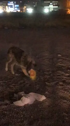 من کورە پارتیمە😂#slimane #foryou #fyp #erbil 