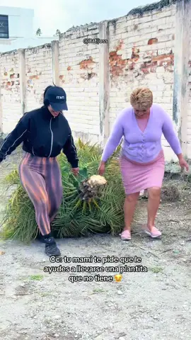 Uniéndome al team de las plantitas 😂 #itati #itatijoss #comedia #humor #mamallevandoseplantitas 