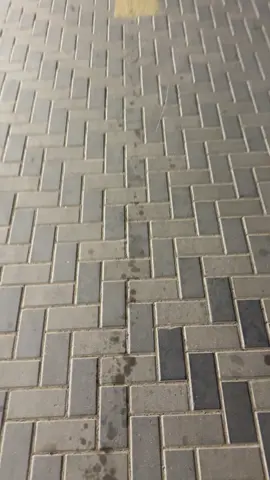 #اوريون_قراندي_2011 