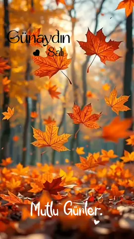 Bugün Günlerden Salı #günaydın #günaydin #günaydınlar #reels #salı 