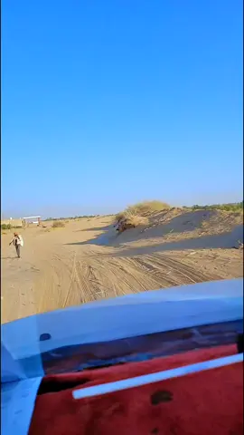 مسندي والمحزم المليان من اي مكان #تصويري_احترافي_الاجواء👌🏻🕊😴🎬 