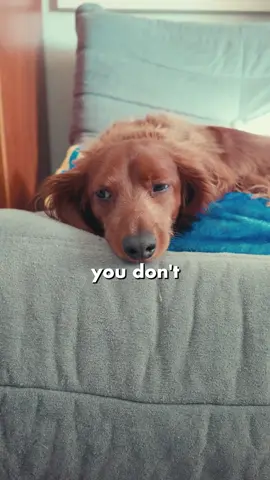 We have the same conversation EVERY MORNING! 😩