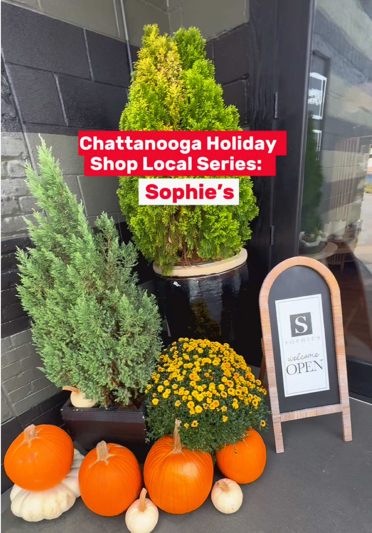 Where to shop local this holiday season in Chattanooga, TN 😍 #emilybrookejohnson @sophiesshoppe #chattanoogatn #chattanoogabusiness 