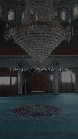 #القارئ #ماهرالمعيقلي #🖤✨ #quran #fyp #قران #sb3zaid0 