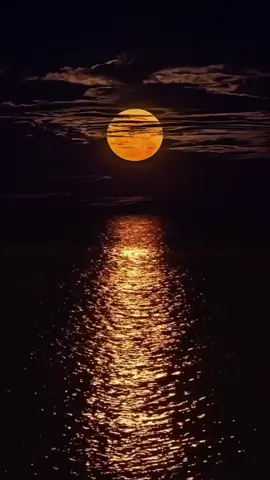 #edition_anwar_présente #cheb_nasro_dio_mohamed_lamine #nsiti_lpasi #CapCut  @Nasreddine Souidi Cheb nasro 