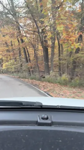 #fyp #fypシ゚viral #countrymusic #country Cherokee Park Scenic Loop 