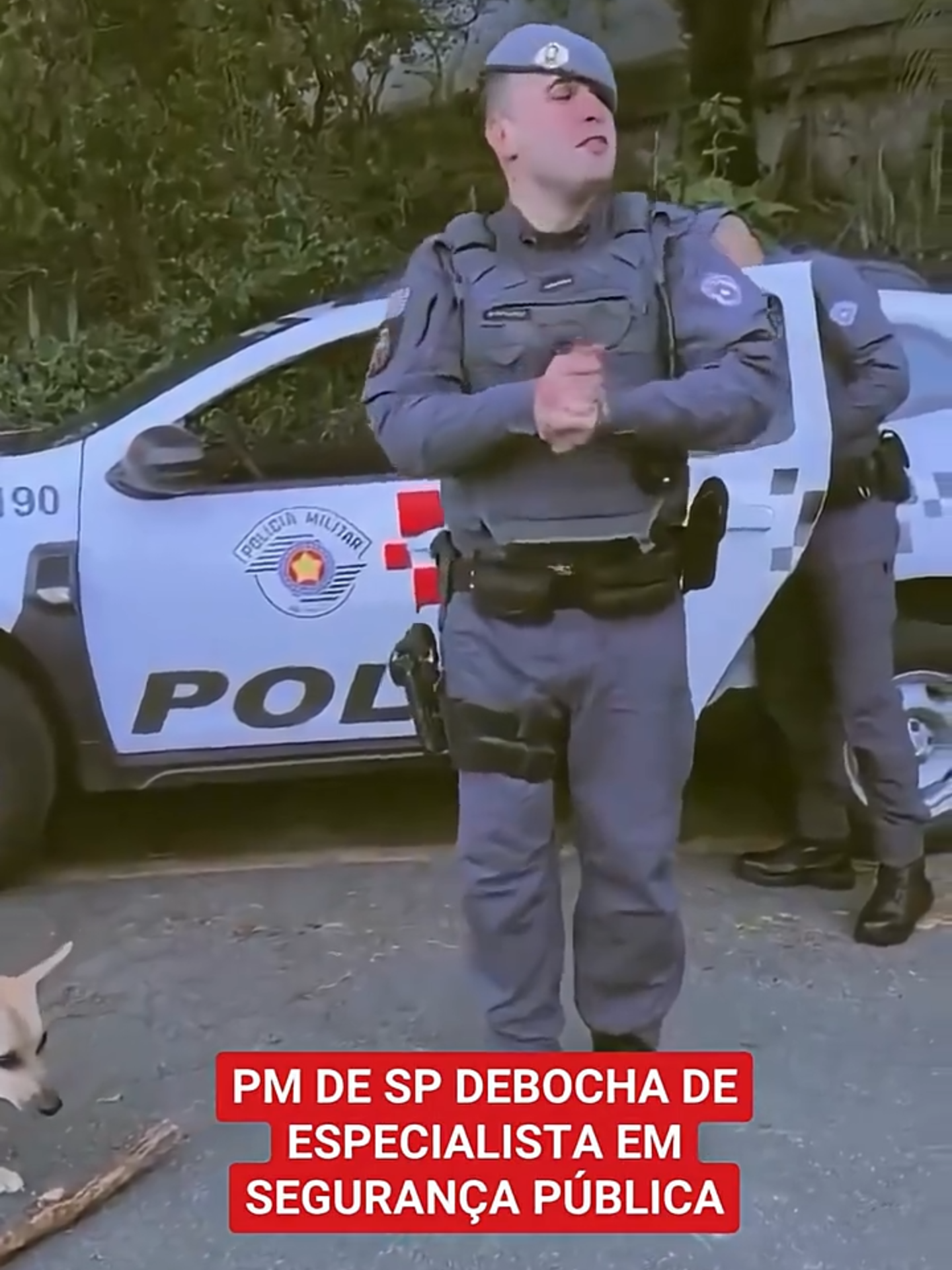 PROVOCAÇÃO | Um policial militar de São Paulo provocou uma especialista em segurança pública em rede social, dizendo que “vamos usar pedras” nas operações, numa fala que gerou condenação de associações de classe. ▶️ Dê o play e confira. 📲 Leia mais em itatiaia.com.br 📹 Reprodução | Redes Sociais  #policialmilitar #provocação #seguraçapública #brasil