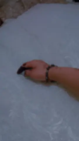 #ورقلة_غرداية_وادسوف_تقرت_حاسي_مسعود #المغير_جامعة_تقرت_بسكرة_الوادي_ورقلة 