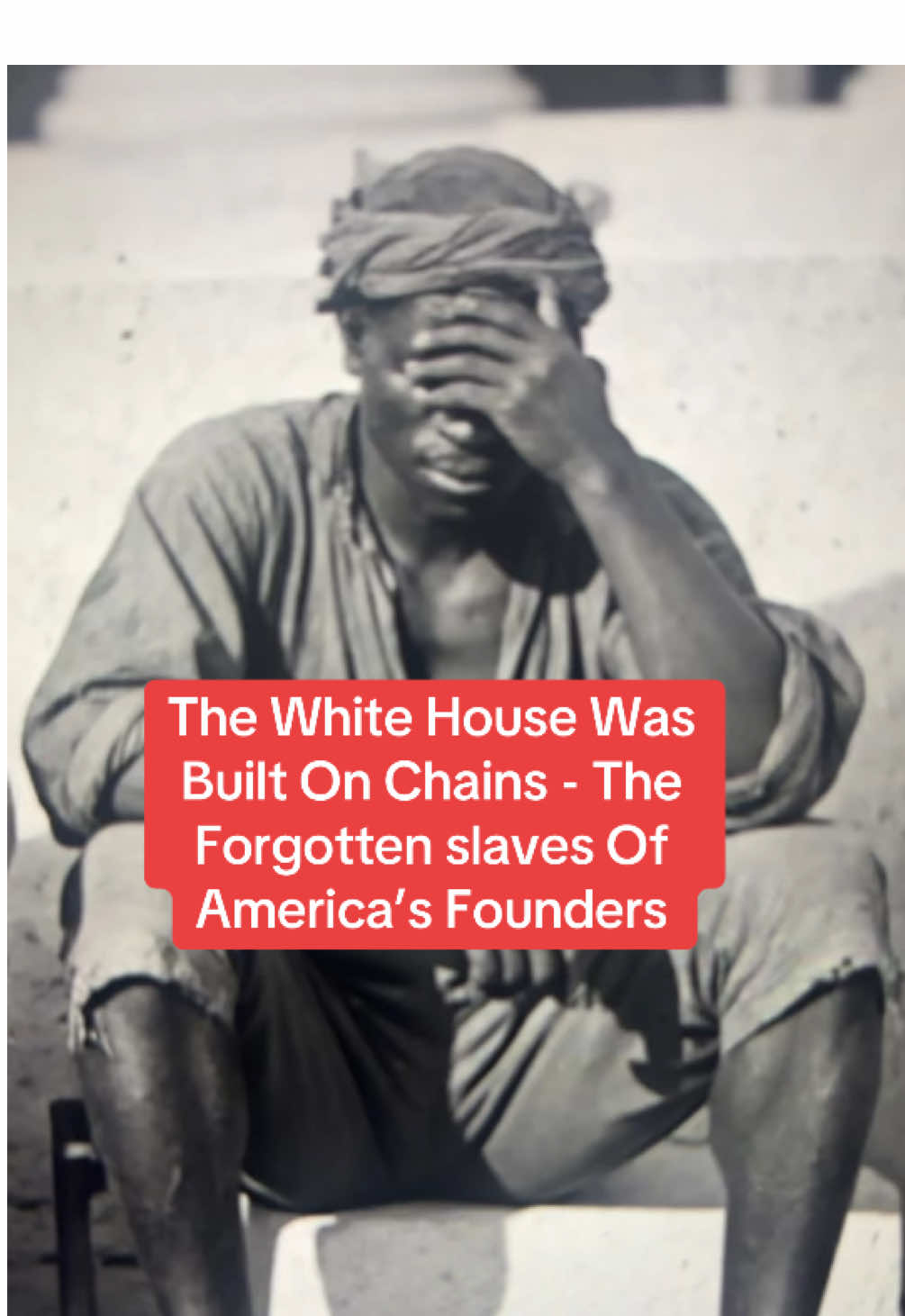 #thewhitehouse #tiktokshopcreatorpicks #tiktokshoprestock #BookRecommendations #americanhistory #blackafhistory 